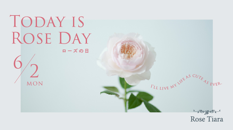 6/2はRoseの日
